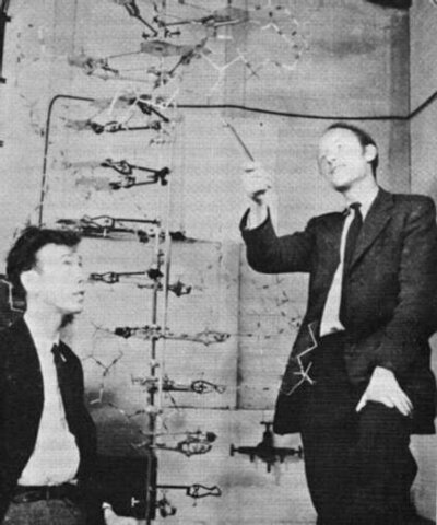 Watson and Crick second model