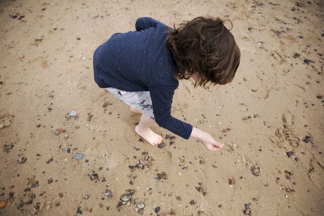 The Handicapped Children's Protection Act