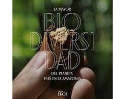 Lanzan el Programa Amazonia