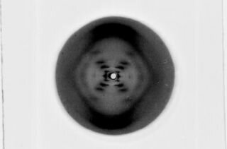 Rosalind Franklin Photo 51