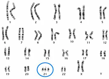 The study of chromosomes as a medical discipline