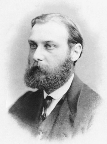 1878 - Chromosomes during mitosis