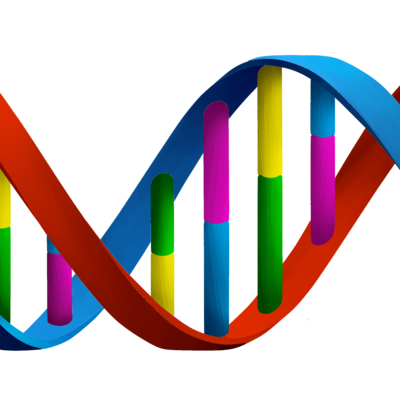 Timeline: DNA HISTORY