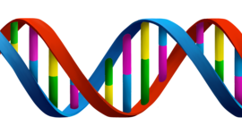 Timeline: DNA HISTORY