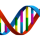 R (1)