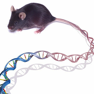 Decoded the genome of the first mammal