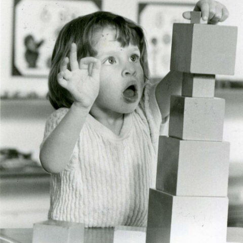 The Montessori Movement: Paving the Pathway for the American Montessori Society