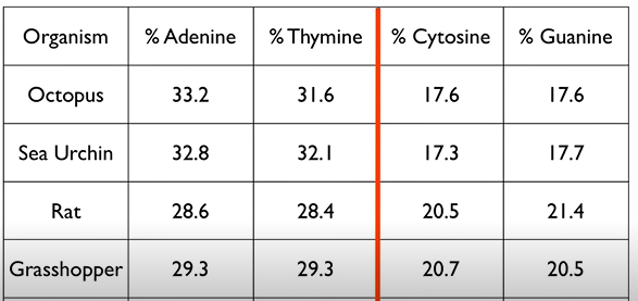 Counting Nucleobases