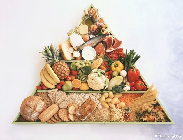 Vg1 Helse og oppvekstfag