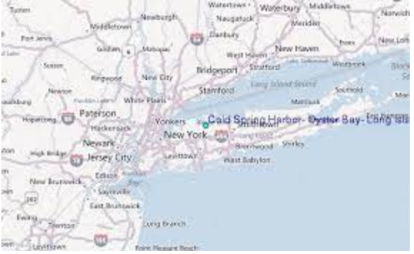 Naci en Long Island, NY.