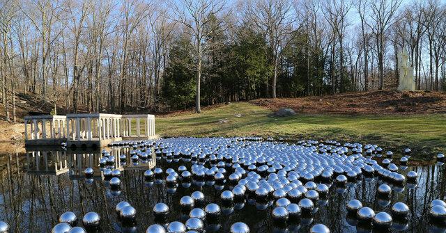 Jardín de Narcisos (Minimalismo)