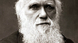 Timeline: Timeline 1: Charles Darwin