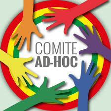 Comité AD-HOC.