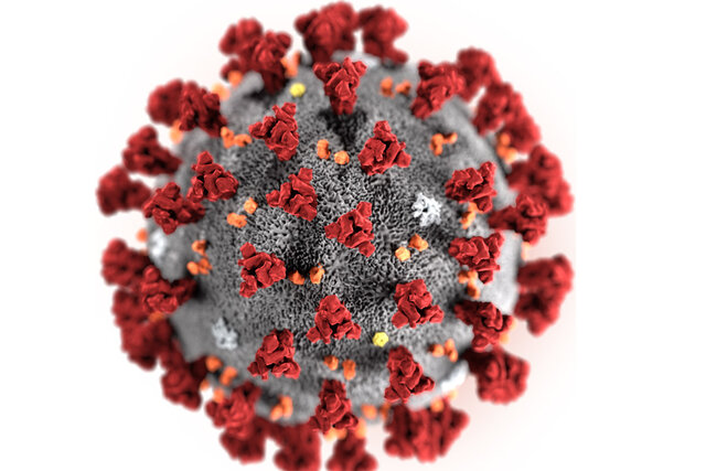 Pandémie mondiale de coronavirus