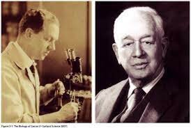 Heinz Ludwig Fraenkel-Conrat y Robley Williams
