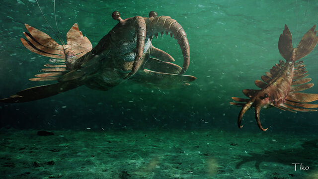 Esimene kiskja Anomalocaris