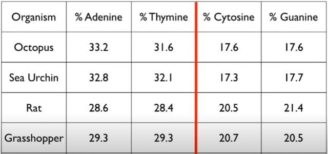 counting nucleobases