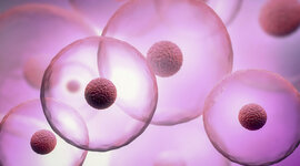 Timeline: Cell discovery