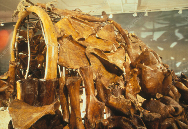 Hunter Gathers Use Aggregation Sites - 15,000 ya