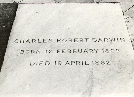 Charles Darwin Dies