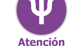 Timeline: Recorriendo los enfoques de la atención psicosocial