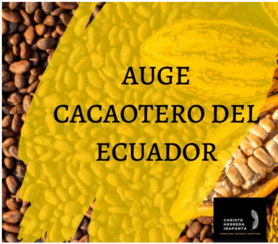 El Auge Cacaotero