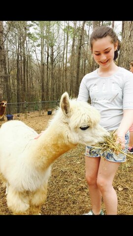 Fui a la playa y era hermosa.