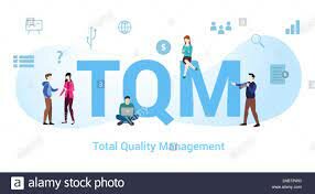 Gestión de la  Calidad Total o Excelencia. 2015
