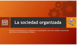 Importancia de la Organización y la participación Social