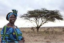 Wangari Muta Maathai