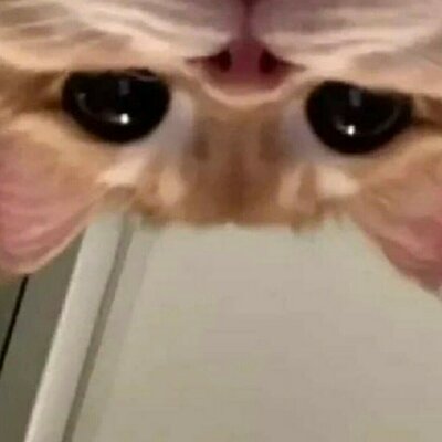 Timeline: Línea del tiempo