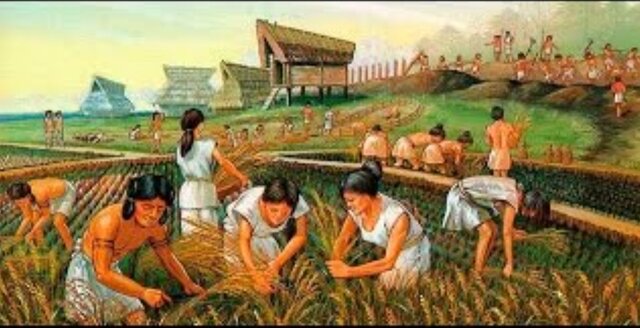 Surgimiento de la ganadería y la agricultura