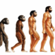 Evolucion humana grande