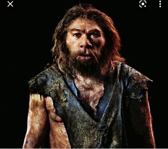 Homo Neanderthal