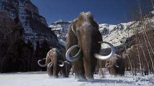 Fin de l'ère glaciaire