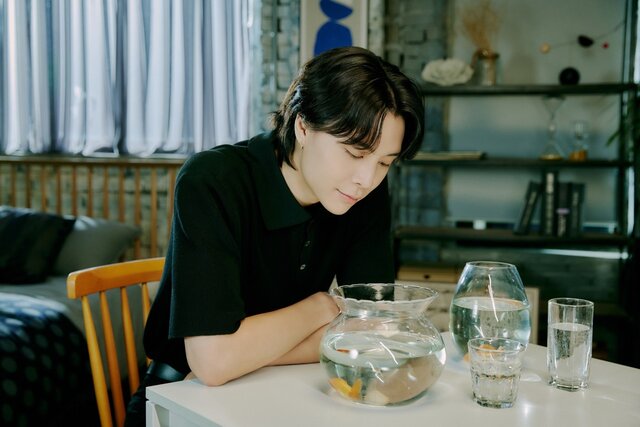 S/ Magic Carpet Ride