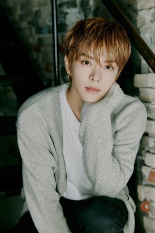 S/ Magic Carpet Ride