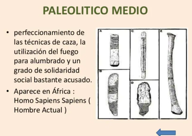 Paleolítico superior