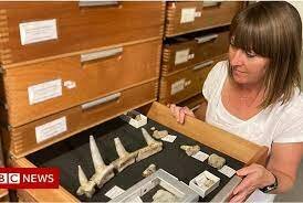 Forensic scientists have discovered a new way of presenting fragile evidence