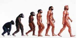 APARICIÓN DEL SER HUMANO