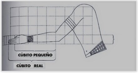 Proporción en cúbitos