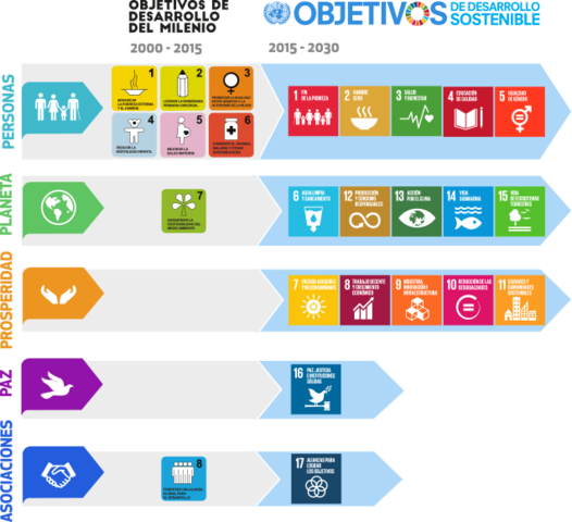 ) Propuestas internacionales a considerar por las universidades La Agenda del Milenio