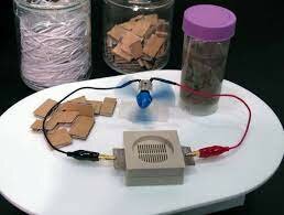 Bio Battery