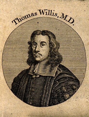 Thomas Willis