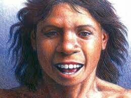 Homo Antecessor y Heidelbergensis