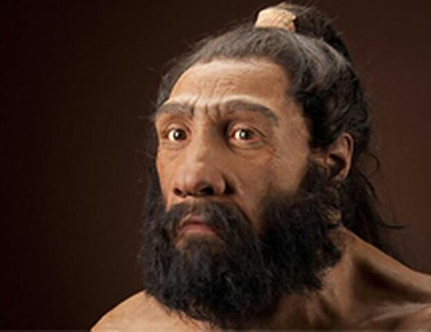 Homo Neandertal