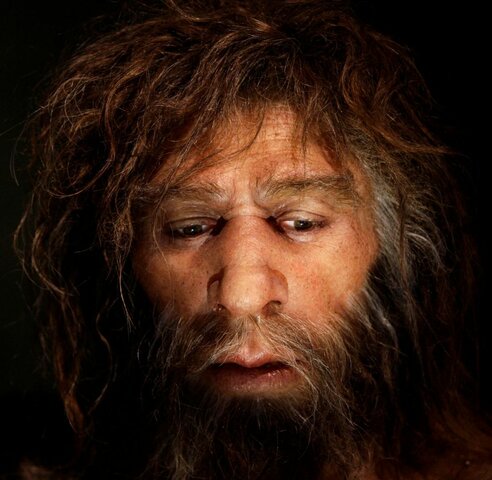 Homo Neandertal