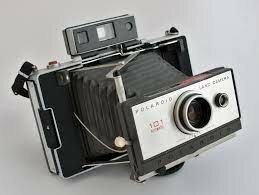 polaroid land