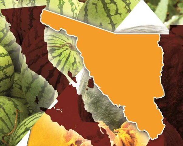 Políticas agrícolas