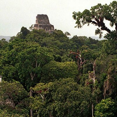 Timeline: Estado Liberal, Oligárquico y Cafetalero.